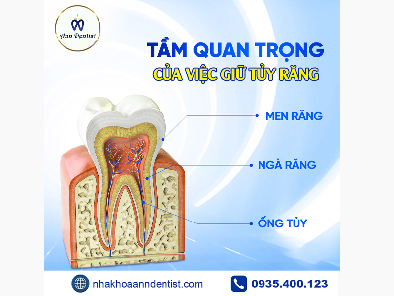 Tầm quan trọng của việc giữ tủy răng.