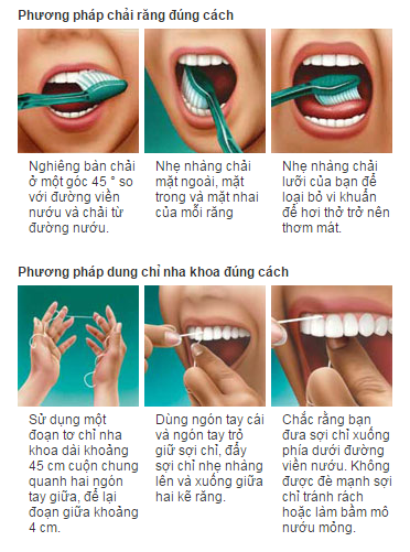 Các bước vệ sinh răng đúng cách.